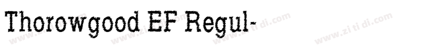 Thorowgood EF Regul字体转换